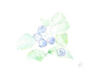 ブルーベリーさいごの収穫・小.jpg